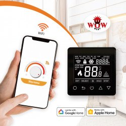 Termoregulátor ET61w