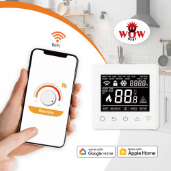 Termoregulátor ET61w