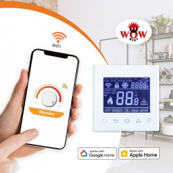 Termoregulátor ET-62W